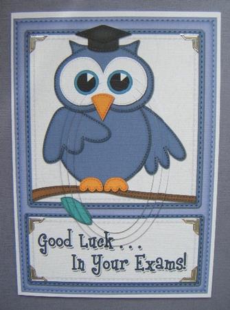A5 Wise Owl Exam Good Luck Felties Oval Pyramage Topper by Maureen Garrigan