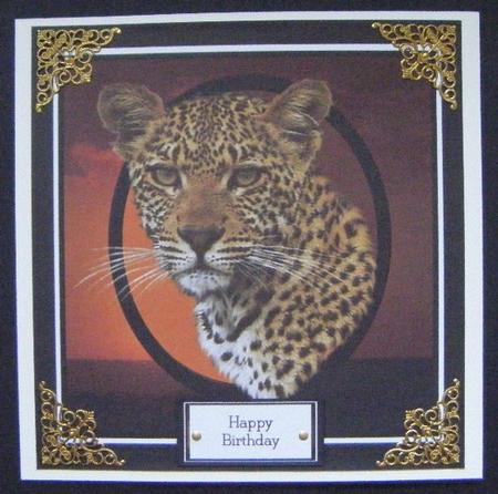 Majestic by Maureen Garrigan