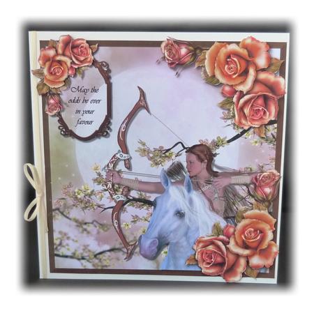 Huntress . . . May the Odds Be Ever in Your Favour by Maureen Garrigan