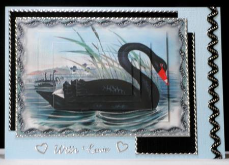 Vintage Birds 1.1, Black Swan by Maurine Tapscott