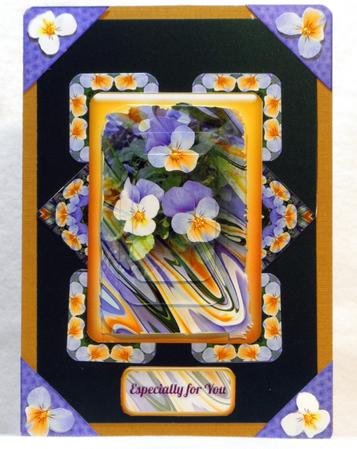Photo Floral 1.3, Pansies by Maurine Tapscott