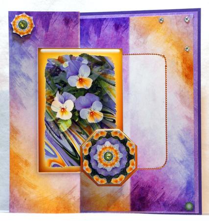Photo Floral 1.2, Pansies by Maurine Tapscott