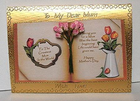 Tulips for My Mother Open Book by Maxine Jones