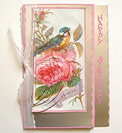 Rose and Chaffinch by Maxine Jones