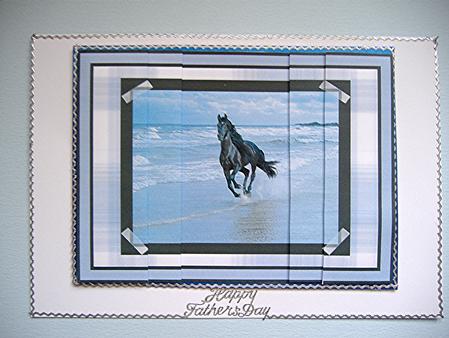 Horse Stallion in the Sea by Maxine Jones