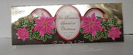 Cerise Poinsettia Someone Special Large Dl Card Kit by Maxine Jones