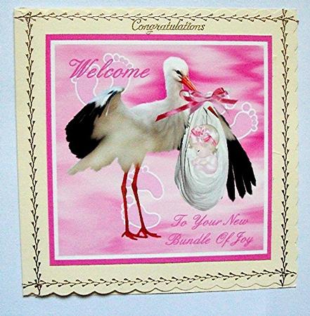 Welcome to Your New Bundle of Joy by Maxine Jones