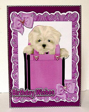 Gypsey the Westie in a Bag by Maxine Jones