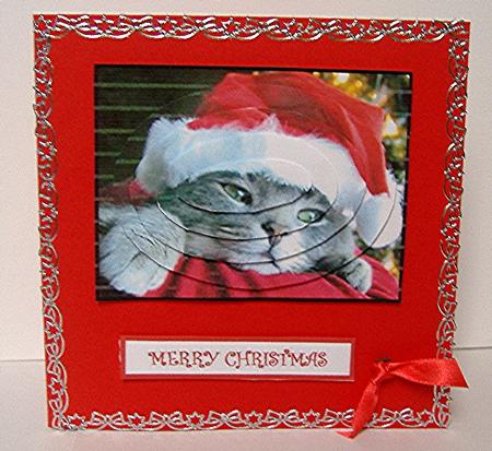 Santa Hat Christmas by Maxine Jones