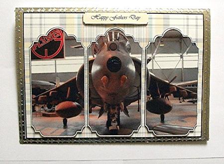 Harrier in Hanger by Maxine Jones