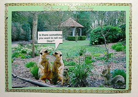 Meerkats - is There Something You Want to Tell Me Dear? Card by Maxine Jones