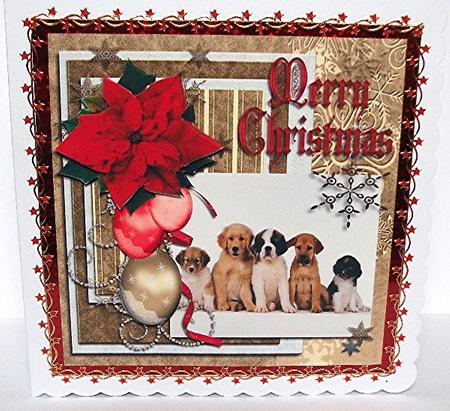 Doggone Christmas by Maxine Jones