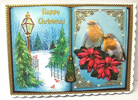 Winter Robins by Maxine Jones