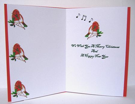 A Singing Robin by Maxine Jones