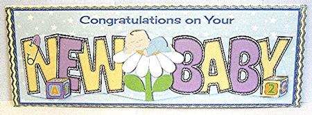 Baby Boy on Flower New Baby Large Dl by Maxine Jones
