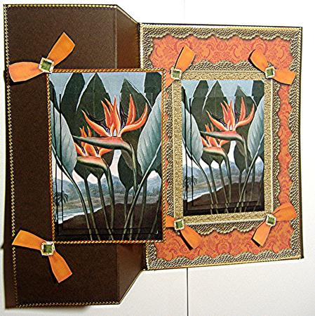 Birds of Paradise A5 Lace N Bows Card Front Step by Step by Maxine Jones