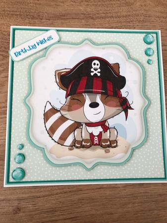 Cute Pirate Racoon by Maxine Ottewell