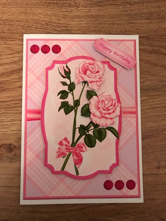 Framed Pink Roses by Maxine Ottewell