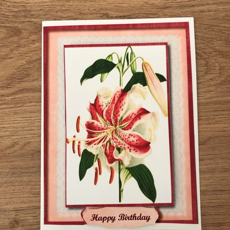 Beautiful Full Flower Tiger Lilly  by Maxine Ottewell
