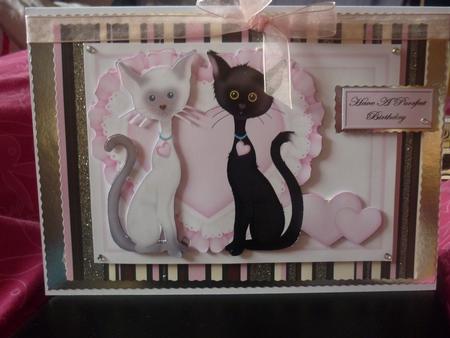 Cute Kittys by Maxine Gathercole