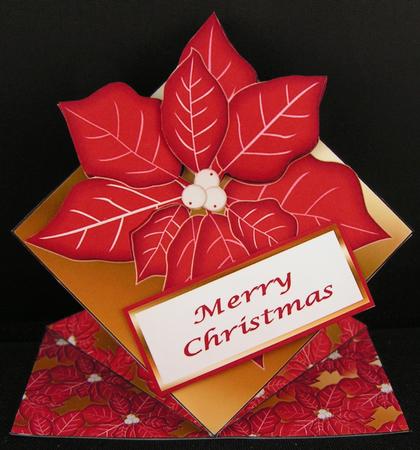 Poinsettia Diamond Top by Melanie Brewin