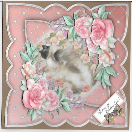 Relax on Your Birthday Featured Gallery Photo