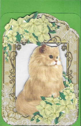 Persian Ginger Cat in Floral Lace Frame by Misha Saillant