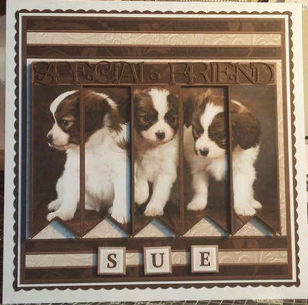 PUPPIES 7.5 Alphabet and Age Quick Card Kit Create Any Name by Michelle Bee