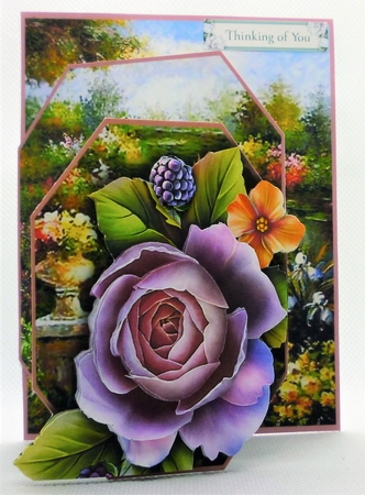 Concertina Front - Garden Pond by Michelle Chivers