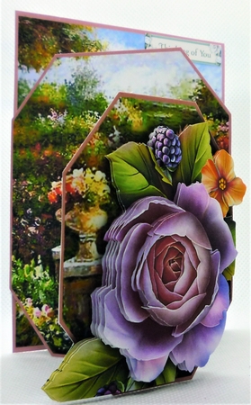 Concertina Front - Garden Pond Featured Gallery Photo