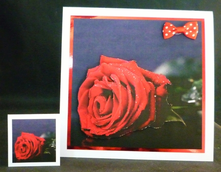 Botanical & Floral 3 - Beautiful Red Rose + Insert & Tag by Michelle Chivers