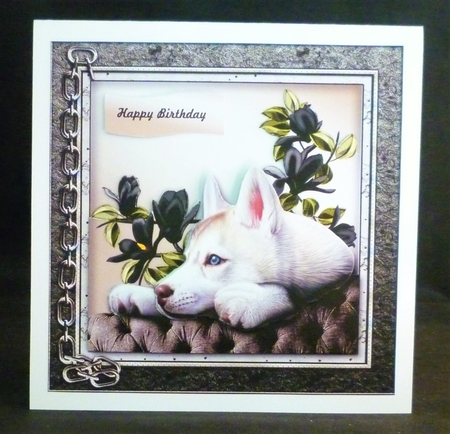 Male Card Loyal Observer Mini Kit by Michelle Chivers
