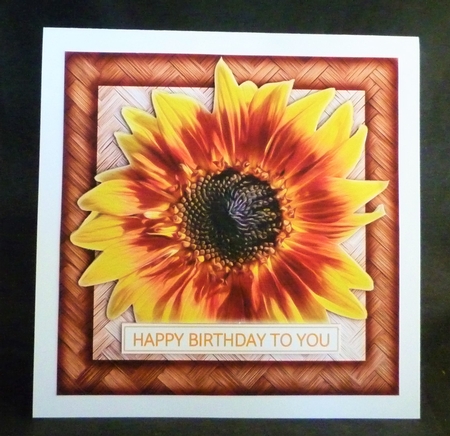 Sunflower Series 1 - 7 Quick 8x8 Cards Kit by Michelle Chivers