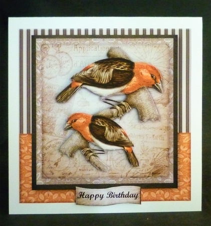 Male card Vintage Birds Mini Ki t3 by Michelle Chivers