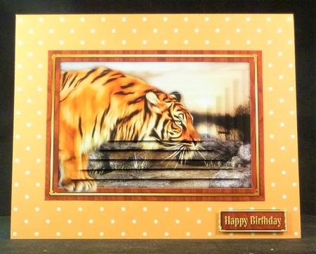 Tiger Pyramage Mini Kit by Michelle Chivers