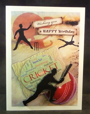 CRICKET step by step by Michelle Chivers