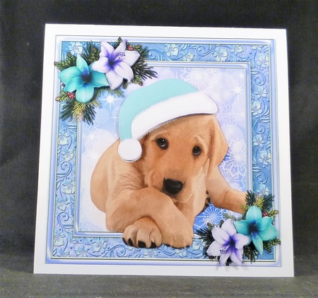 Adorable Golden Puppy With Blue Santa Hat 8x8 by Michelle Chivers