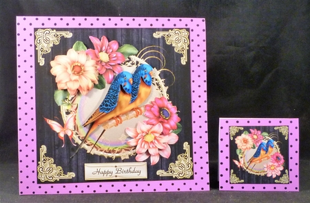 Twin Budgies by Michelle Chivers