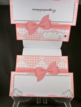 New Baby Girl - Large Shaped Card Insert by Michelle Chivers