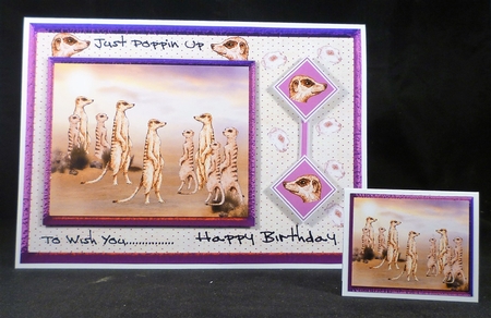 Meerkat Birthday Wishes by Michelle Chivers