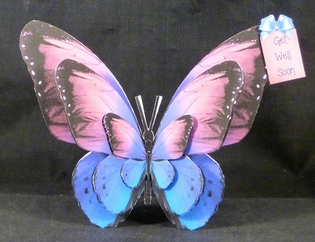 Butterfly Shaped A Frame Card - BA8 by Michelle Chivers