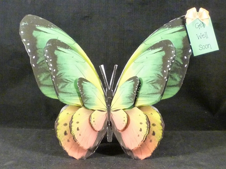 Butterfly Shaped A Frame Card - BA9 by Michelle Chivers