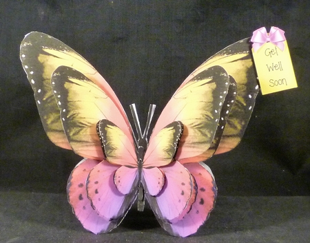 Butterfly Shaped A Frame Card - BA11 by Michelle Chivers