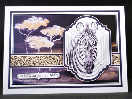 PORTRAIT OF A ZEBRA A5 Pyramage Ages & Insert Mini Kit by Michelle Chivers