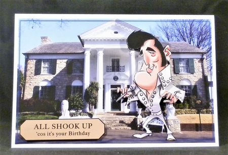 GRACELAND KING MINIKIT by Michelle Chivers