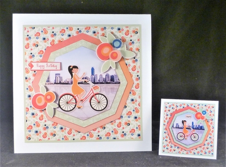 Metro Bicycle Multi Use Mini Kit by Michelle Chivers