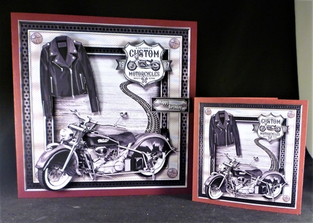 Born to Ride by Michelle Chivers