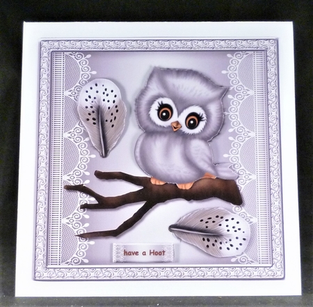 Cute Owl & Feathers by Michelle Chivers