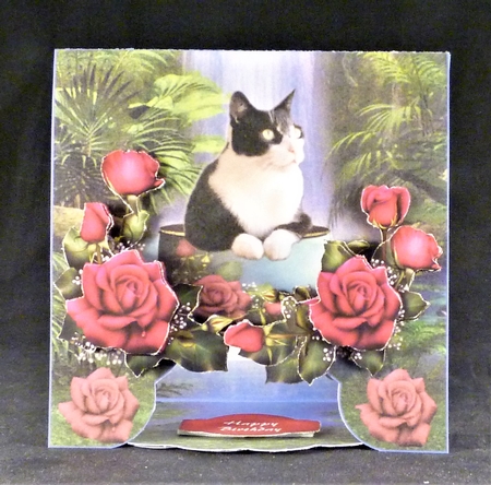 Cat in the Roses by Michelle Chivers