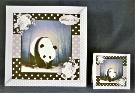 Cute Panda  by Michelle Chivers